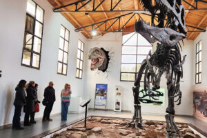 Neuquén y Nación trabajan en la calidad turística de los municipios