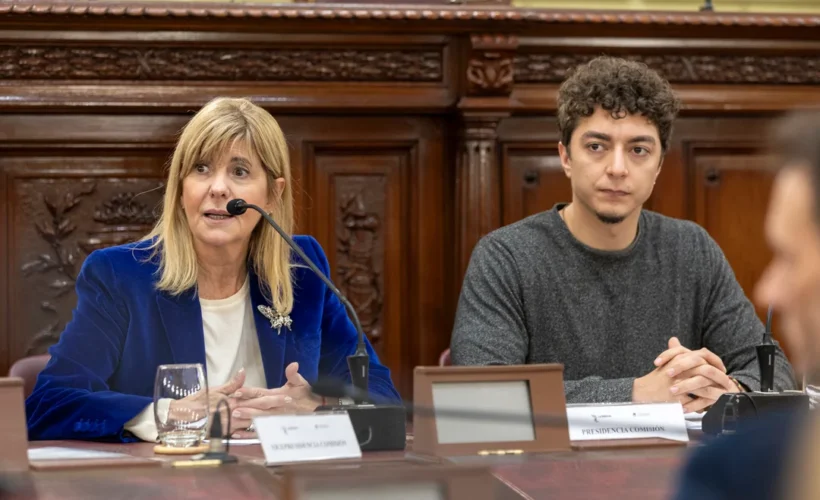 Santa Fe. La nueva Constitución se abre al siglo XXI con derechos digitales y ambientales