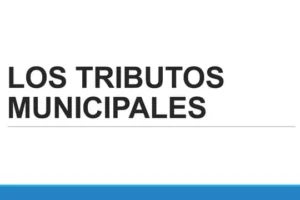 Tasas municipales bajo la lupa: Pareja advirtió que el cobro sin contraprestación “es un robo”