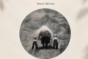 “Sólo quedó en el recuerdo”: el arte de Shanon Bárcena llevó la Patagonia a Palermo