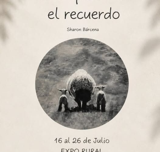 “Sólo quedó en el recuerdo”: el arte de Shanon Bárcena llevó la Patagonia a Palermo