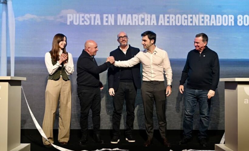 Chubut amplía su potencia renovable con el parque eólico más grande del país