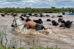 Crecida del Paraná: el agua entró a Corrientes y hay cientos de evacuados