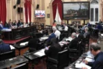 El Senado modificó la reforma de la Carta Municipal de Salta