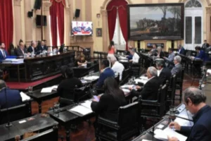 El Senado modificó la reforma de la Carta Municipal de Salta