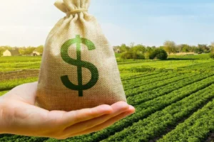 El Estado se queda con más de la mitad de la renta agrícola: la Sociedad Rural de Rosario exige una reforma tributaria de fondo
