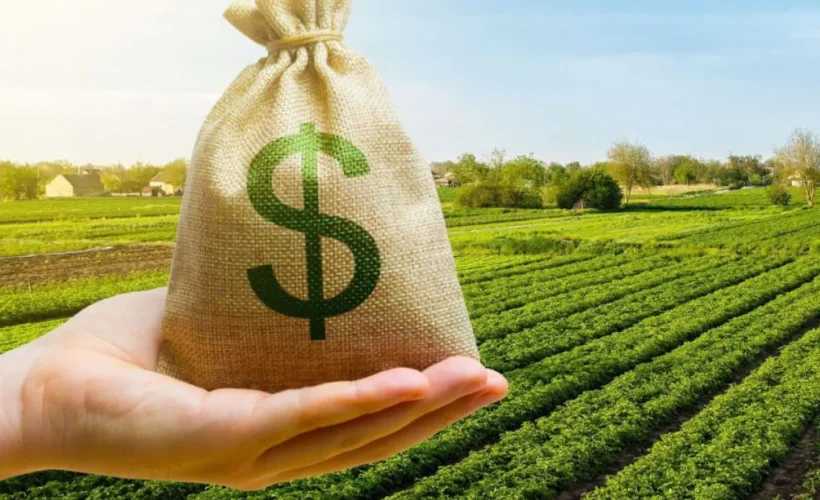 El Estado se queda con más de la mitad de la renta agrícola: la Sociedad Rural de Rosario exige una reforma tributaria de fondo