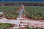 Alerta en todas las rutas de Neuquén: Vialidad Nacional solicitó circular con extrema precaución por tormentas