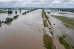Qué es El Niño, qué pasa con las lluvias en Argentina y cómo puede impactar en el campo Qué es El Niño, qué pasa con las lluvias en Argentina y cómo puede impactar en el campo