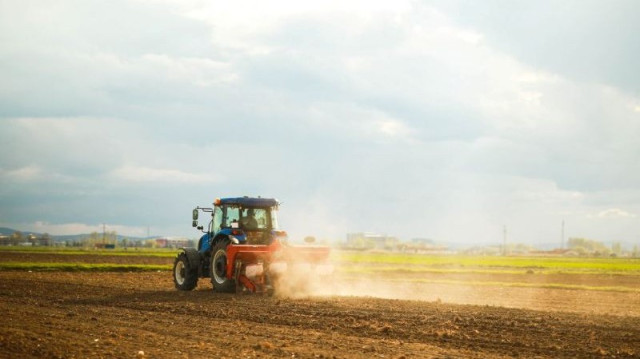 ¿Qué tan competitiva es Argentina para producir granos?