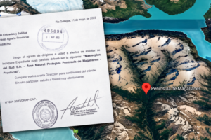 Península de Magallanes. La Justicia ordenó proteger las tierras y remitió la causa a la Corte